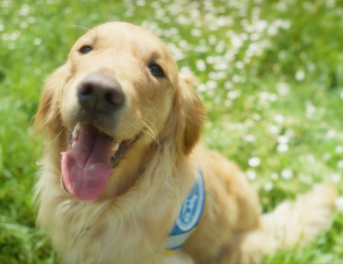 Ruben est assis dans l'herbe, il porte son body et regarde l'objectif