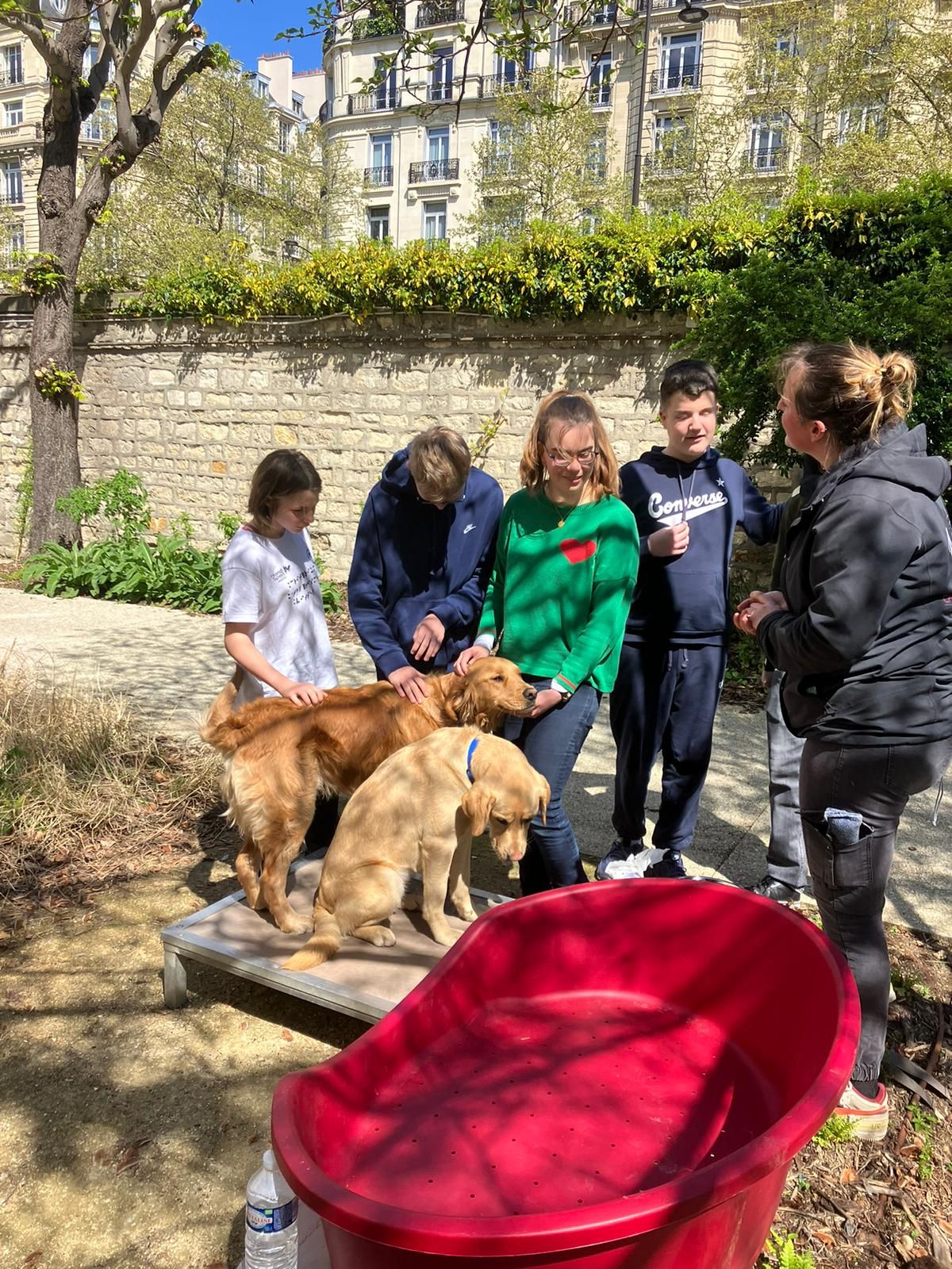 séance de papouille pour les élèves chiens guides et les jeunes de l'INJA