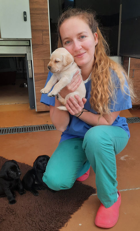 Une jeune femme tient dans ses mains un chiot sable