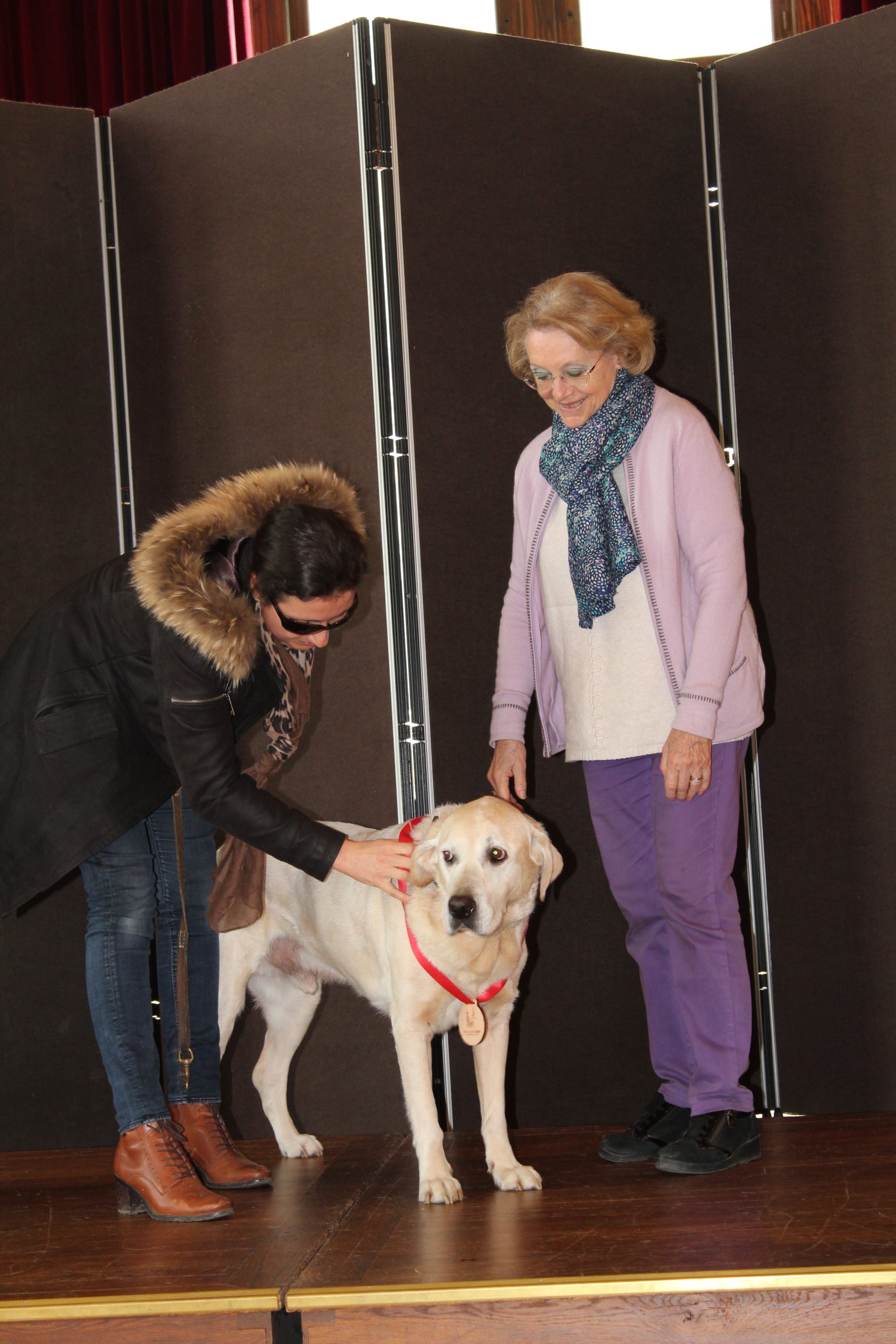 remise de médaille pour Harlow par sa maîtresse Armelle