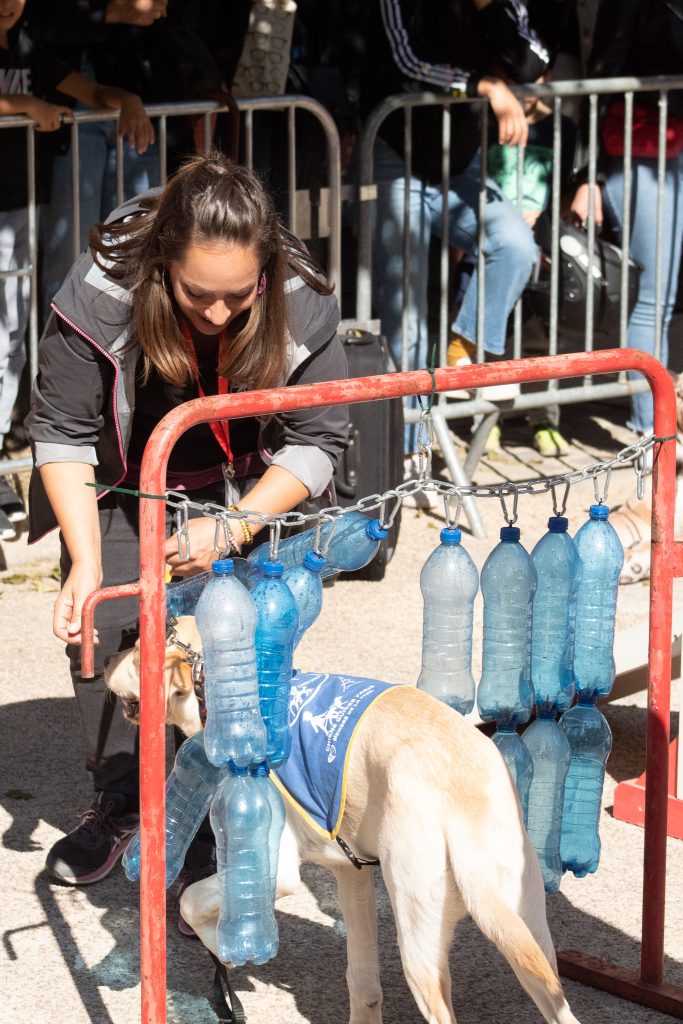 Magali fait une démonstration d'agility avec l'un de ses élèves chiens guides