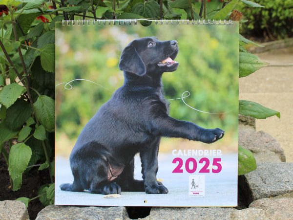 Photo du calendrier 2025 de l'Ecole de Chiens Guides de Paris avec un chiot noir au centre