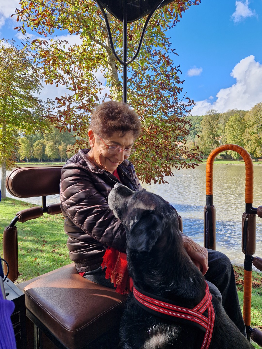 Claude est assise dans une carriole. Elle regarde tendrement Ilton, un chien guide retraité. Ilton est un labrador noir avec le museau qui blanchit.