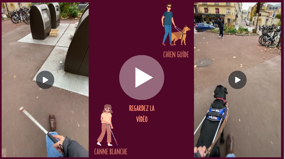 Capture d'écran de la vidéo comparative entre la canne blanche et le chien guide.
À gauche, une personne se déplace difficilement avec la canne, tandis qu'à droite, une personne se déplace plus facilement grâce au chien guide.