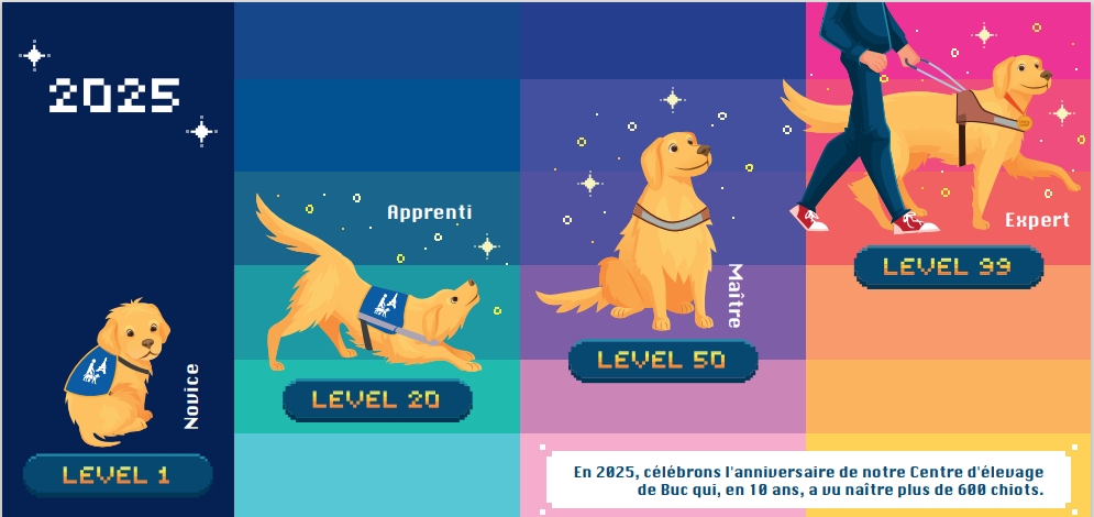 Carte de vœux illustrant l'évolution d'un chien guide, avec un style graphique inspiré des jeux vidéo. Le chien représenté est un labrador de couleur sable. 