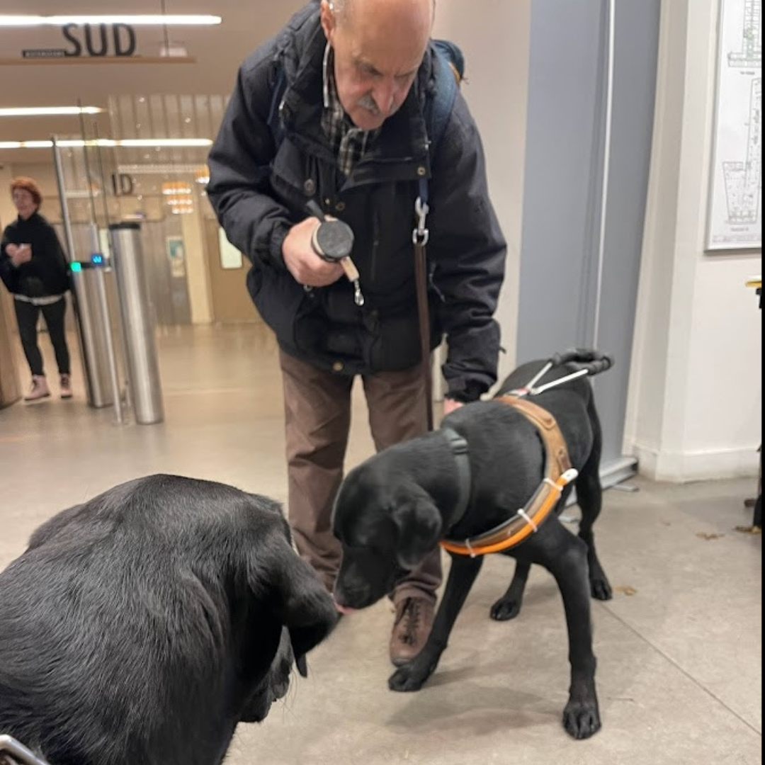  Udo avec SID un labrador noir qui est le chien de Antoine MORENO Vice President de l'association des chiens guides de Paris